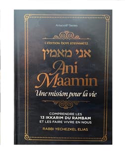 Ani Maamin – Une mission pour la vie