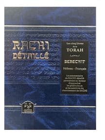 Rachi détaillé – Béréchit