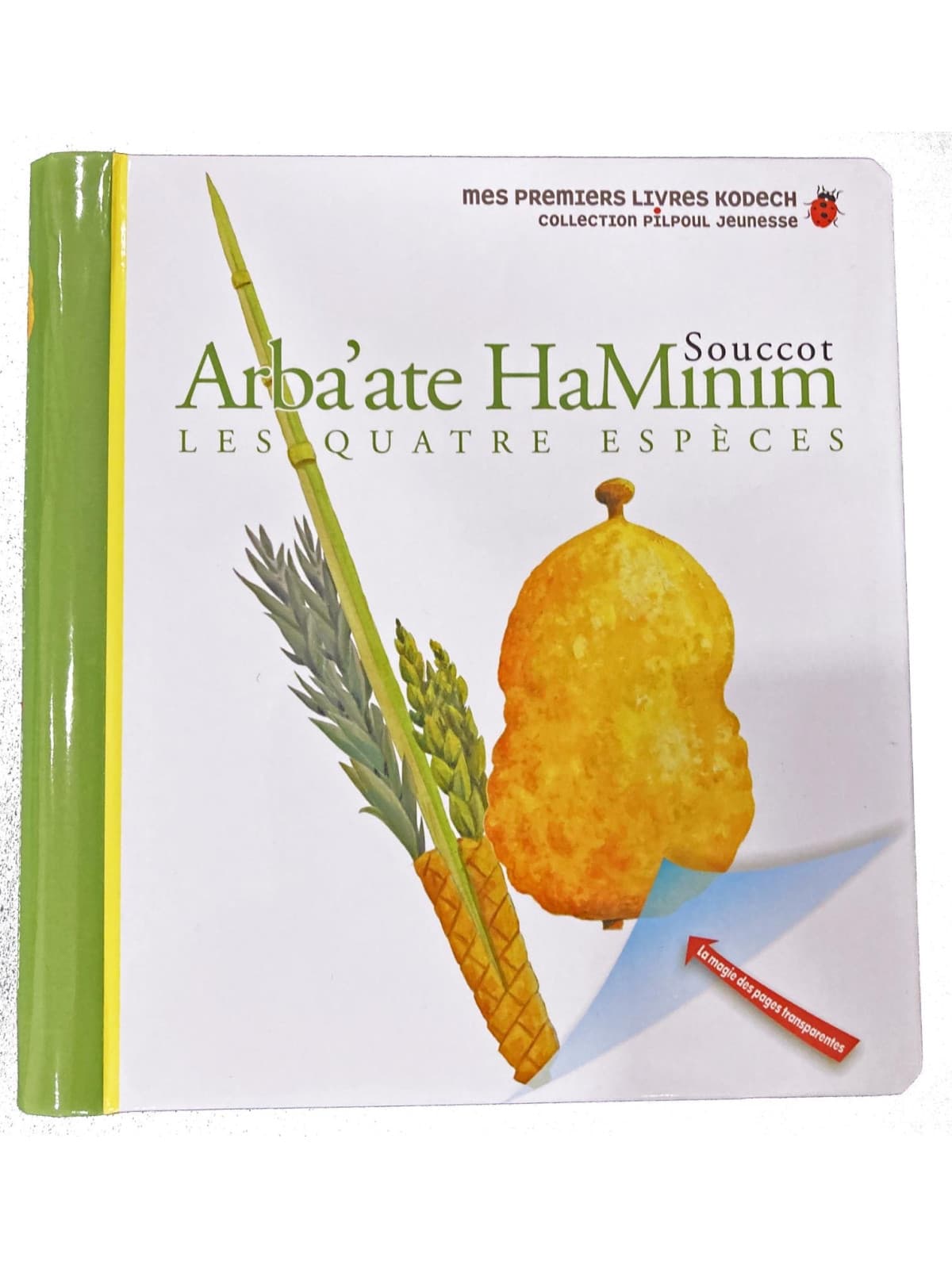 Arba’ate Haminim – Les Quatre espèces