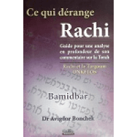 Ce qui dérange Rachi – Bamidbar