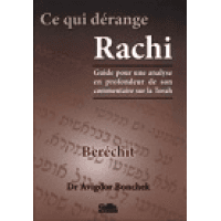 Ce qui dérange Rachi – Berechit