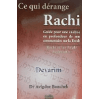 Ce qui dérange Rachi – Devarim