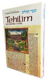Tehilim -Tome 4