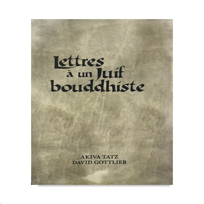 Lettres a un juif bouddhiste